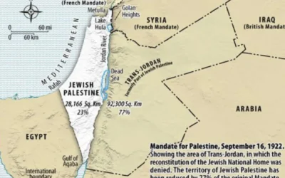 Palestina? Gaza? Parliamone con il Diritto internazionale alla mano