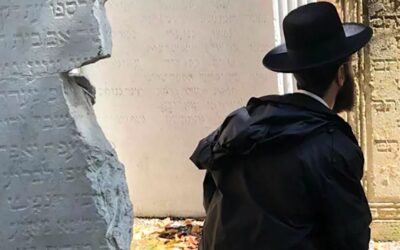 Alla scoperta (guidata) delle antiche lapidi del cimitero ebraico di Padova